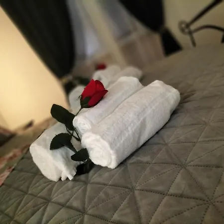 公寓 Red Roses Domus 罗马