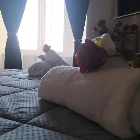 公寓 Red Roses Domus 罗马