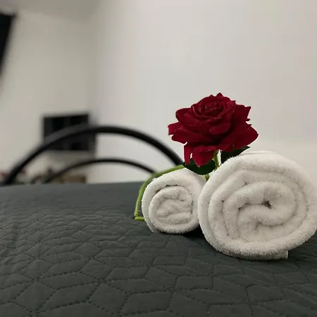 Red Roses Domus Apartment
