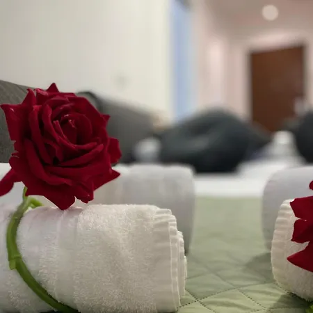 Red Roses Domus 公寓 *