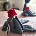 Apartament Red Roses Domus