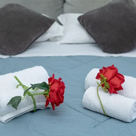 Red Roses Domus Rome
