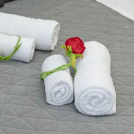 Apartment Red Roses Domus Rome
