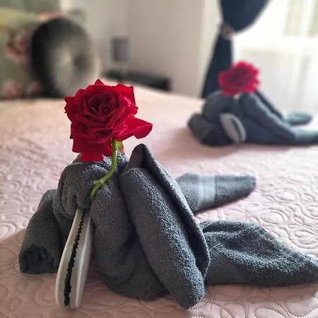Apartament Red Roses Domus