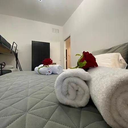 Red Roses Domus